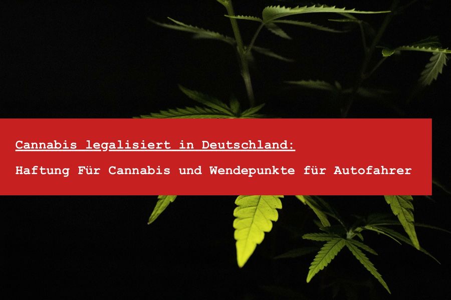 Cannabis legal: Was gilt bei Besitz, Anbau, Auto und Job